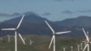 Energy Expert Questions Green Future