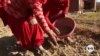Community-led farming initiative restores wastelands, rural incomes in North India