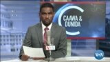 Caawa iyo Dunida