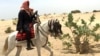 ARCHIVES - Un voyageur sur un cheval à la sortie du camp de Dar Es Salam à Baga-Sola (ouest du Tchad).