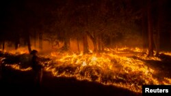 L'incendie King Fire, qui dure depuis des jours, n'est maitrisé qu'à 35 % (Reuters)