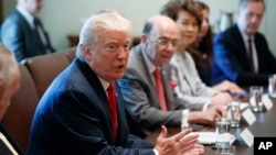 Presiden Donald Trump berbicara dalam rapat kabinet di Ruang Kabinet di Gedung Putih, 31 Juli 2017 (foto: AP Photo/Evan Vucci)