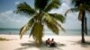 Florida’s Palm Trees Threatened by Disease
