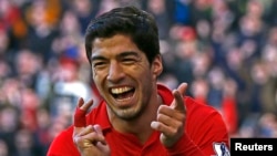 Pemain Liverpool Luis Suarez, yang masih absen karena dilarang bermain dalam 10 pertandingan setelah menggigit kuping lawan. (Foto: Dok)