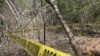 México: asesinan a dos periodistas