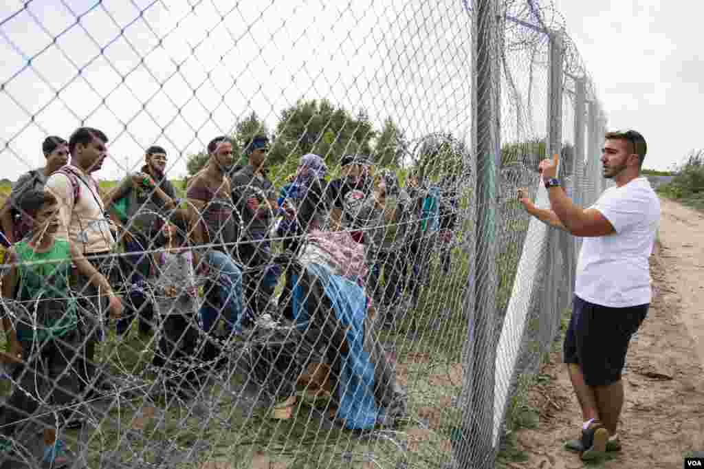 Desperate for answers, migrants on the Serbian side of the fence were asking VOA's local Arabic language translator, on the Hungarian side, where to go and what to do, Sept. 15, 2015. (A. Tanzeem/VOA)