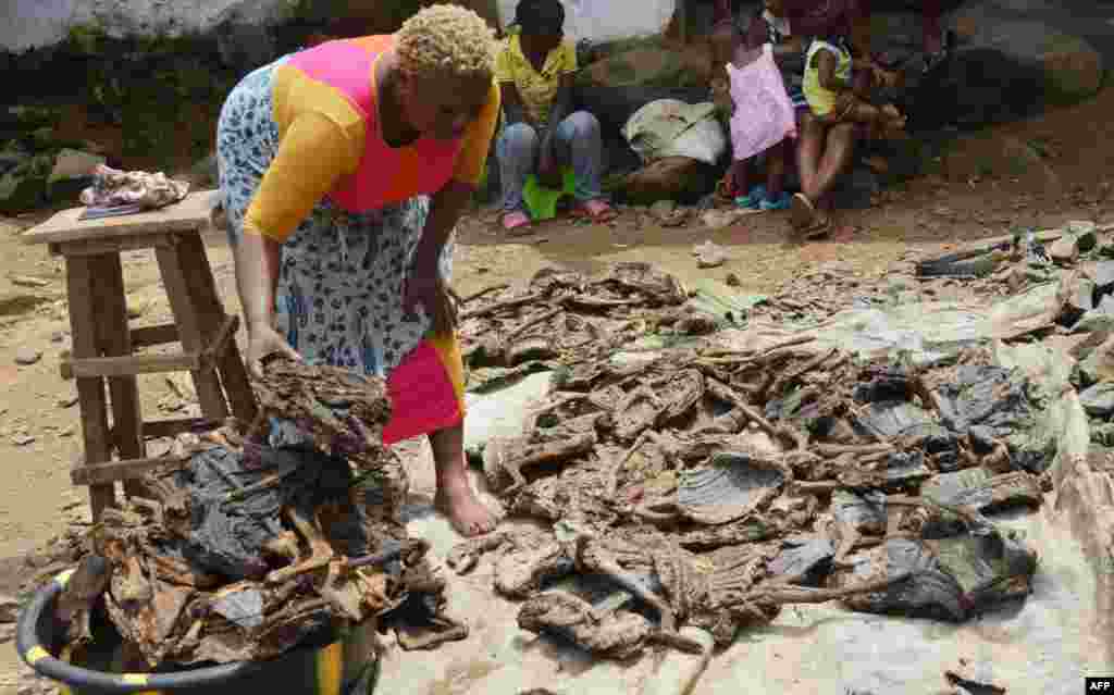 Alice Jallabah, chef d'un groupe de vendeurs de viande de brousse, tient une viande de brousse séchée en main, le 7 octobre, 2014, à Monrovia, Liberia. La consommation de la viande de brousse est interdite au Liberia depuis que l'épidémie du virus Ebola s’est déclarée au Liberia. AFP PHOTO / ZOOM DOSSO