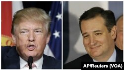 Memasuki hari Selasa, Donald Trump (kiri) masih unggul atas Senator Texas Ted Cruz dengan 82 delegasi (foto: dok).