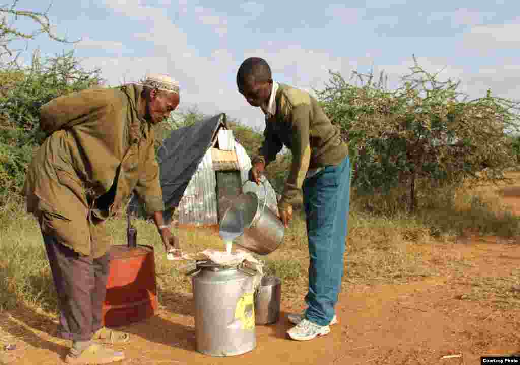 Milk from the camel herd at Mpala is poured into carrier tanks and transported by motorcycle to Kenya's only pasteurization plant. (Sharon Deem, Saint Louis Zoo)