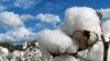 Many US Farmers Skeptical About Climate Change