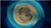 A still image from a numerical simulation of two black holes that inspiral and merge, emitting gravitational waves. (Credit: LIGO Caltech)