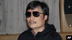 陈光诚