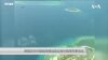 美国谴责中国借疫情加强在南中国海的军事活动