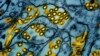Canada detects its first presumptive human H5 bird flu case