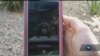 16x9 Image