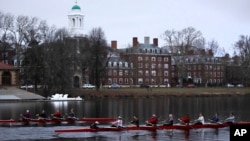 FILE - Rowers pass the campus of Harvard University as they move down the Charles River in Cambridge, Mass., March 7, 2017.