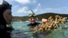 Study: Great Barrier Reef Has Had 5 Near-Death Experiences in 30,000 Years