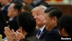 资料照：美国总统特朗普和中国国家主席习近平在北京人民大会堂出席国宴。 (2017年11月9日)