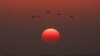 Central Africa states are considering building stations to monitor changing weather patterns