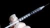 Novel HIV Vaccine Prevents Disease in Monkeys