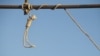 16x9 Image