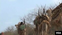 Bencana kekeringan dan kelaparan di Somalia telah meluas ke enam wilayah, termasuk wilayah yang sebelumnya merupakan penghasil pangan.