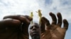 Les essaims de criquets en Afrique de l'Est atteignent le Soudan du Sud