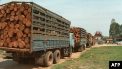 A few of a total of 20 trucks loaded with timber wait at the Cambodian border post of Bavet for clearance to cross into Vietnam, Dec. 21, 1997.