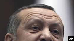 Turkish Prime Minister Recep Tayyip Erdogan addresses lawmakers and supporters of his party at the parliament in Ankara, Turkey, January 24, 2012.