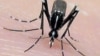 African Viral Disease Spreads
